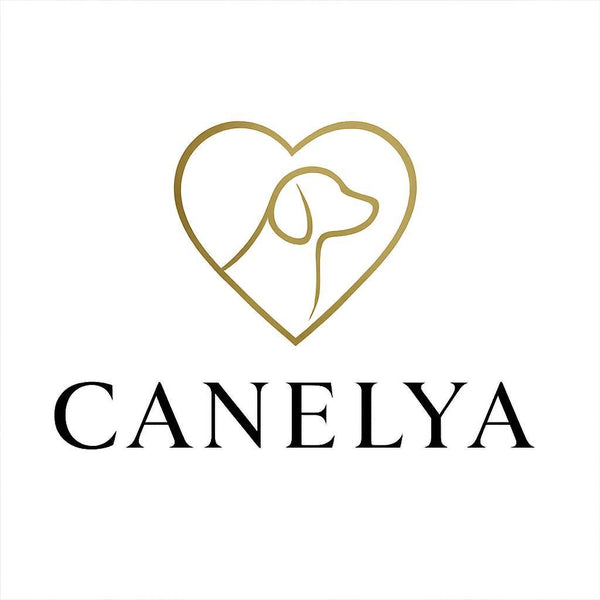 Canelya